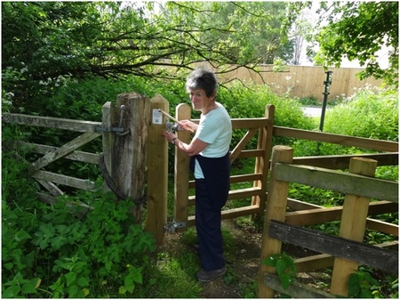 Anne Partridge affixes the OFS plaque on a new kissing gate on the d’Arcy Dalton Way at Lyneham